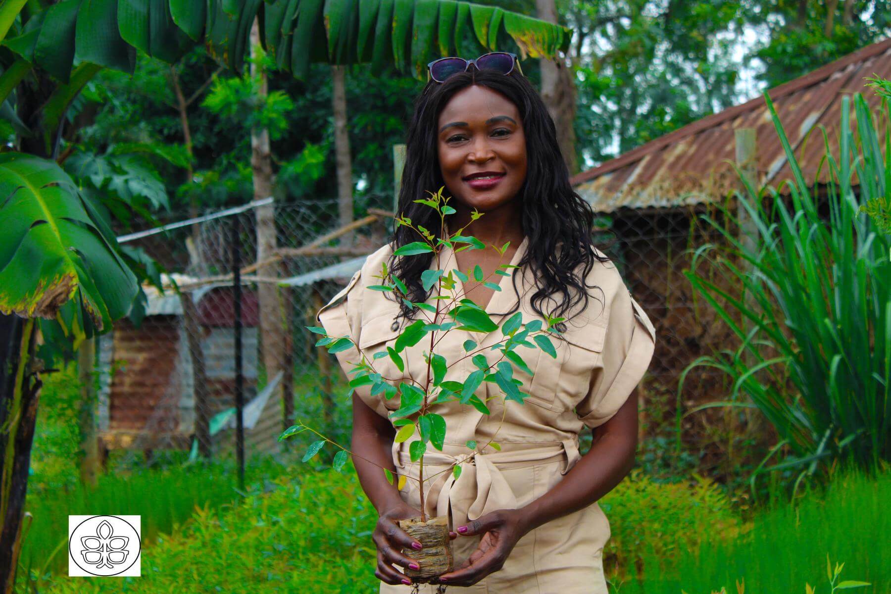 Cimax - planting a tree in Kenya Cimax - planting a tree in Kenya